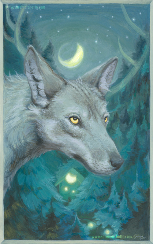 Gouache painting of an Italian Wolf in a forest