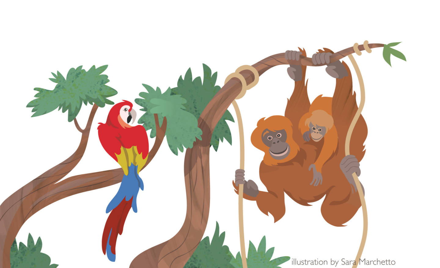Vector illustration for children's book - education - orangutan mother and cub, red parrot over branches. flat and expressive style with texture - sara marchetto